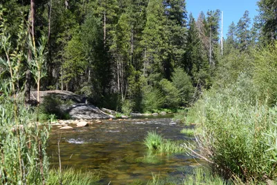 DSC_4299 (Large).JPG